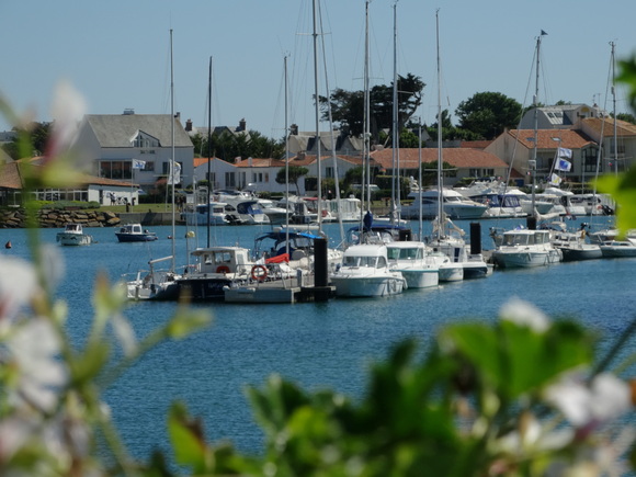 ma maison sur la cote agence immobilière saint gilles croix de vie